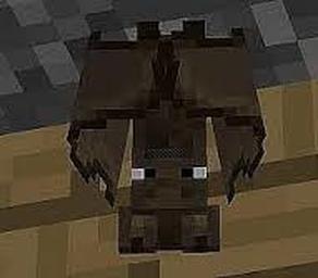 Bat All You Need To Now Of A Minecraft